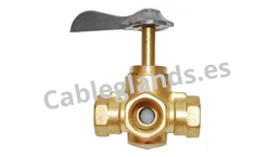 fittings and valves